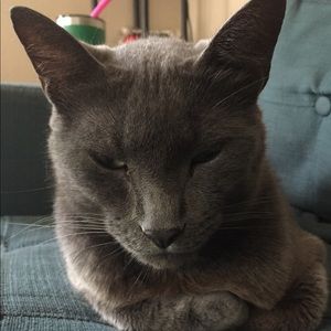 Meet your Posher, Alma